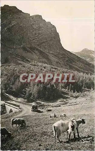 Cartes postales moderne Env de Barcelonnette Route du Col de la Cayolle