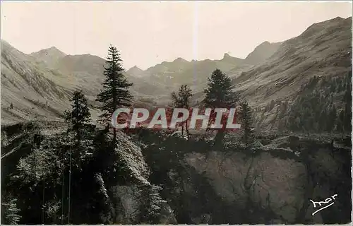 Cartes postales moderne Barcelonnette BA Vallon du Lauzanier