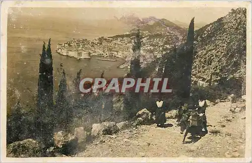 Cartes postales Yougoslavie Ane Mule