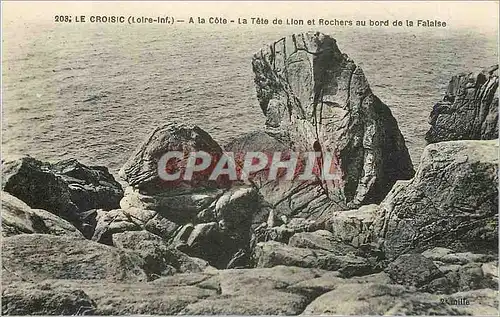 Cartes postales Le Croisic Loire Inf A la Cote La Tete de Lion et Rochers au bord de la Falaise