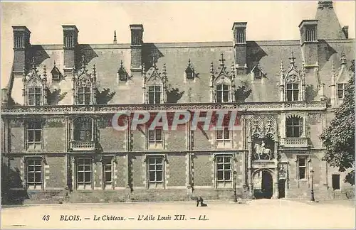 Cartes postales Blois Le Chateau L'Aile Louis XII