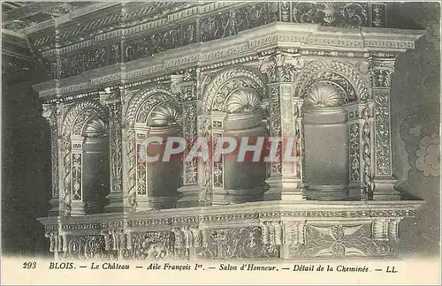 Cartes postales Blois Le Chateau Aile Francois 1er Salon d'Honneur Detail de la cheminee