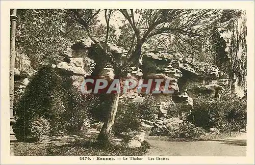 Cartes postales Rennes Le Thabor Les Grottes