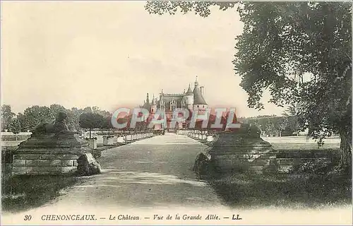 Cartes postales Chenonceaux Le Chateau Vue de la Grande Allee