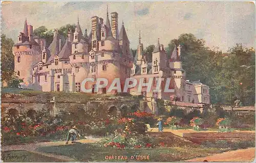 Cartes postales Chateau d'Usse