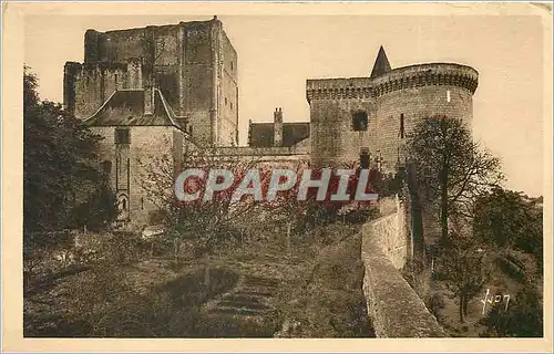 Cartes postales Chateau de Loches Indre et Loire Le Donjon et la Tour Louis