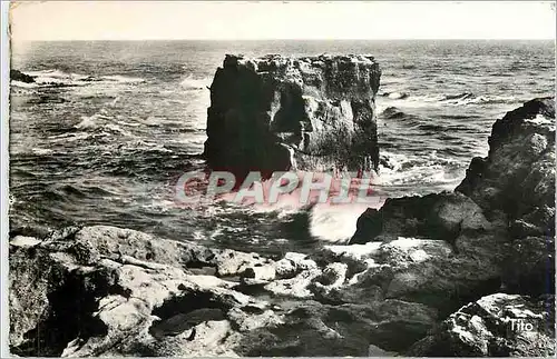 Cartes postales moderne Saint Palais sur Mer La Roche au Moine