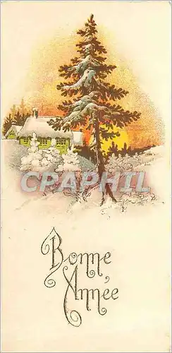 Cartes postales Bonne Annee