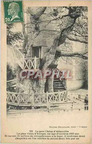 Cartes postales Maison Delamare Le gros Chene d'Allouville Le plus vieux d'Europe