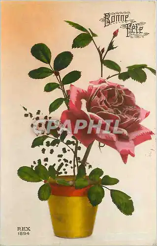 Cartes postales Bonne Fete Fleurs