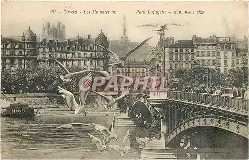 Cartes postales Lyon Les Mouettes au Pont Lafayette