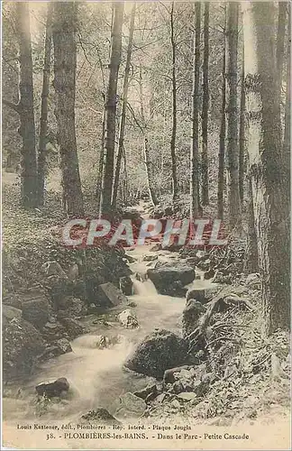 Cartes postales Plombieres les Bains Dans le Parc Petite Cascade