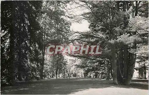 Cartes postales Divonne les Bains Ain Un coin du Parc