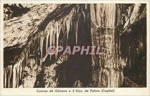 Cartes postales Cuevas de Genova a 5 kms de Palma Capital