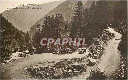 Ansichtskarte AK Cauterets La Route du Pont d'Espagne