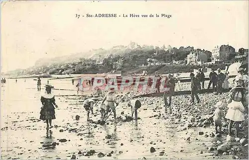 Cartes postales Ste ADRESSE-La Heve vue de la plage