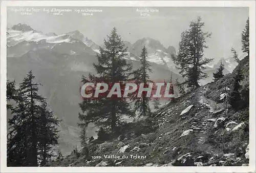 Cartes postales vallee du trient