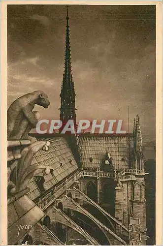 Cartes postales Notre Dame de Paris Gargouille