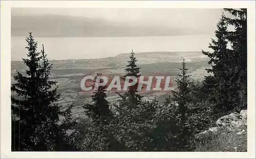 Ansichtskarte AK THONON et le Lac leman-vus du COL DU FEU (Haute Savoie)