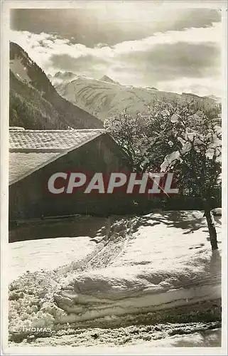 Cartes postales MORZINE (The Savoie) 1000m