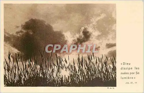 Cartes postales VOEUX