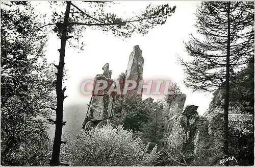 Cartes postales moderne ROUTE DU VIGAN AU MONT-AIGOUAL-Rocer de Roquelongue