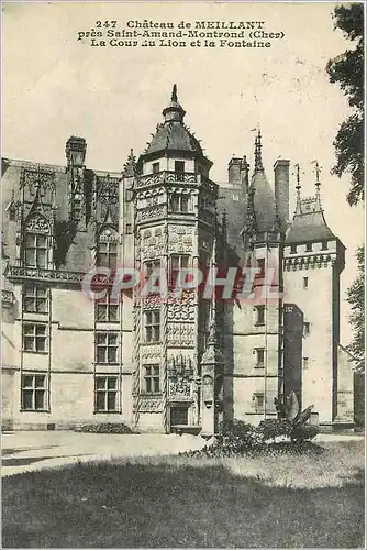 Cartes postales Chateau de MEILLANT