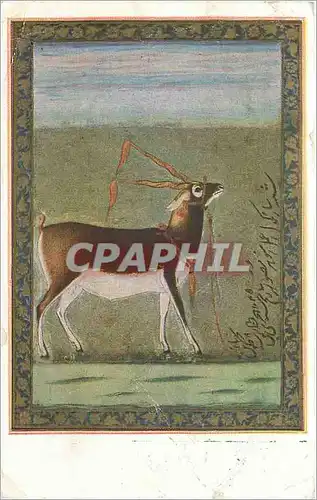 Cartes postales ANTELOPE BY MANIHAR Inde