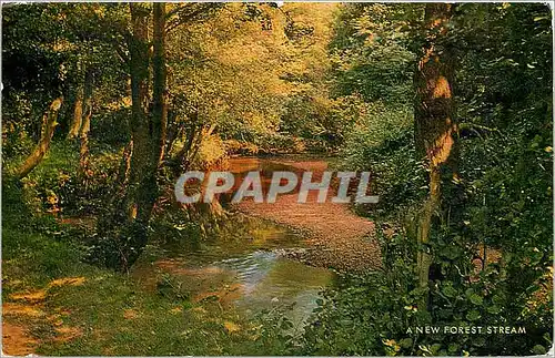 Cartes postales A NEW FOREST STREAM