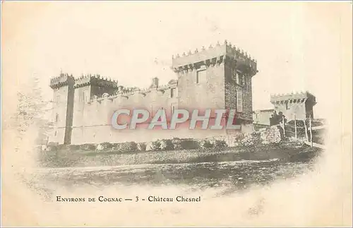 Cartes postales ENVIRONS DE COGNAC-Chateau Chesnel