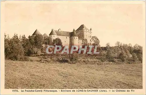 Cartes postales La Franche -comte pittoresque- environs de LONS-L-SAUNIER(Jura)-Le Chateau u Pin