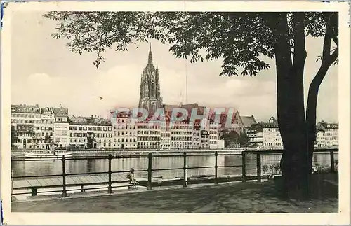 Cartes postales FRANKFURT A m.Blick uber den Man auf den Dom