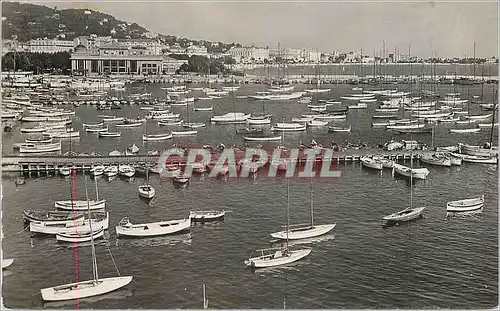 Cartes postales moderne CANNES-Le Port Bateaux