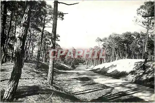 Cartes postales Angers-Musee des Tapisseries-L'ange aux tente dernier