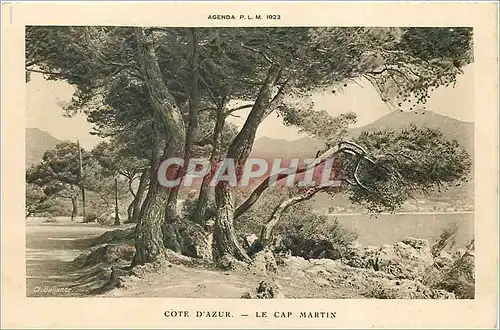 Cartes postales COTE D'AZUR -LE CAP MARTIN