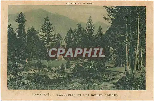 Cartes postales DAUPHINE-VALLOUISE ET LES BOEUFS ROUGES