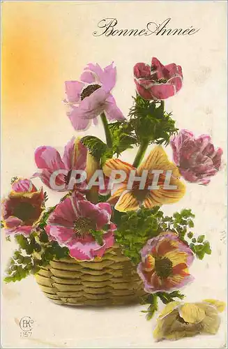 Cartes postales VOEUX