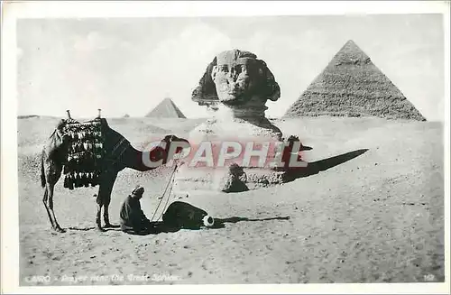 Cartes postales CAIRO Chameau