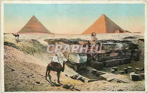 Cartes postales Pyramids Chameau