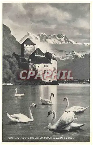 Ansichtskarte AK LAC LEMAN-Chateau de Chillon et Denis du Midi Cygnes