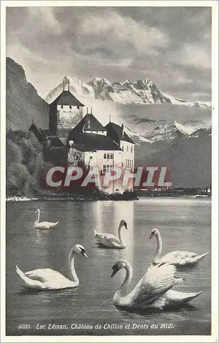 Cartes postales LAC LEMAN-Chateau de Chillon et Denis du Midi Cygnes