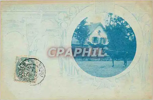 Cartes postales Cheval
