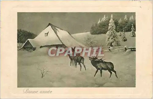 Cartes postales BONNE ANNEE Cerfs Biches