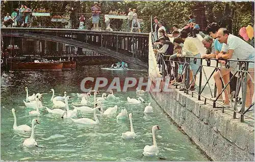 Moderne Karte ANNECY-Le Pont des Amours Cygnes