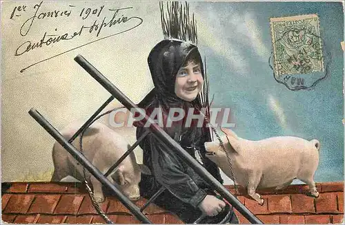 Ansichtskarte AK Enfant Cochons Porcs