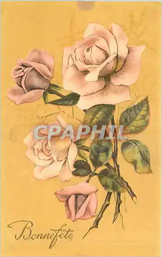 Cartes postales VOEUX