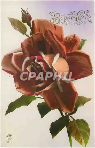 Cartes postales VOEUX