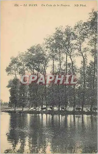 Ansichtskarte AK LE MANS-Un coin de la Prairie