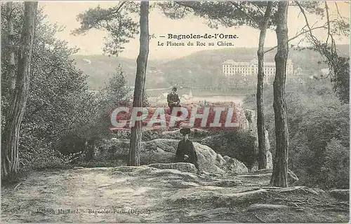 Ansichtskarte AK BAGNOLES DE L'ORNE-Le Plateau du Roc au Chien