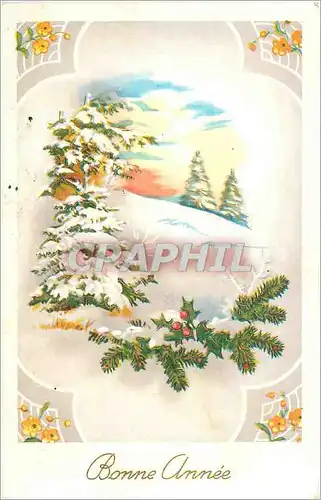 Cartes postales Voeux